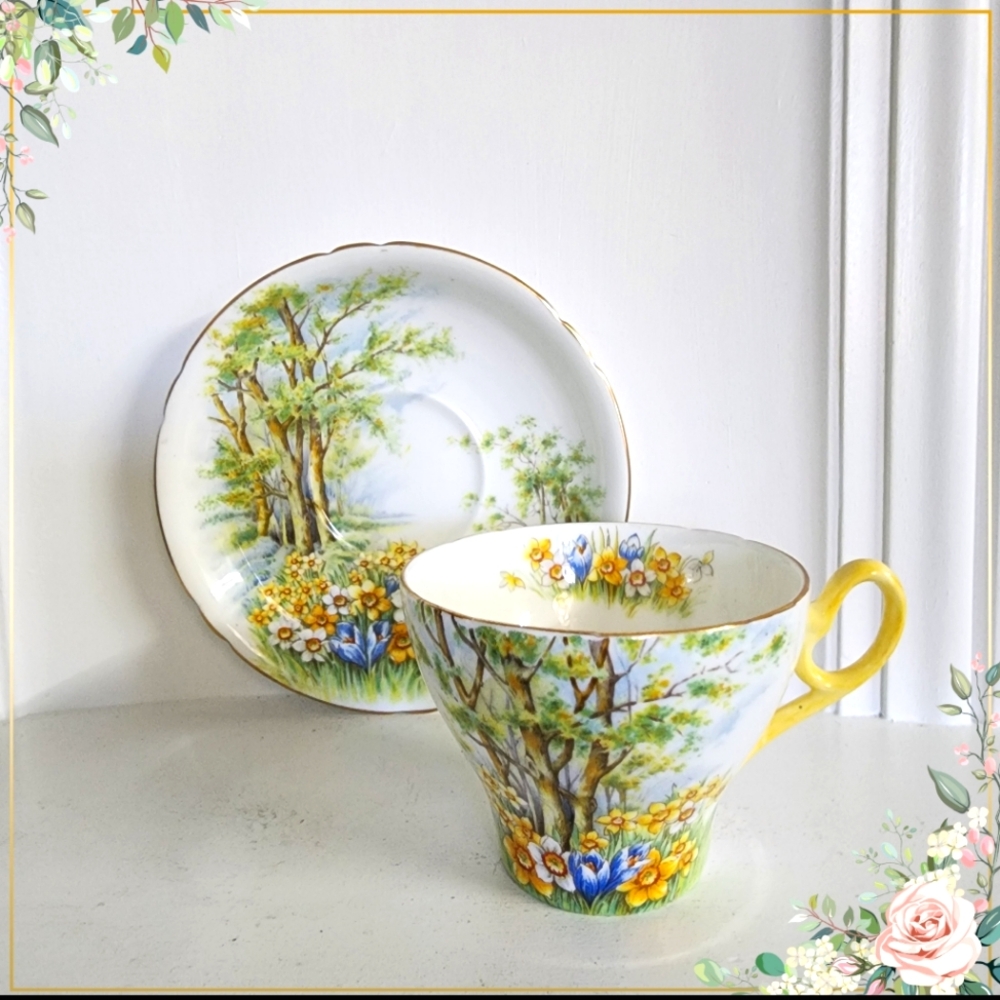 Shelley Bonę China, Daffodil Time Cup and Saucer, very rare collectible